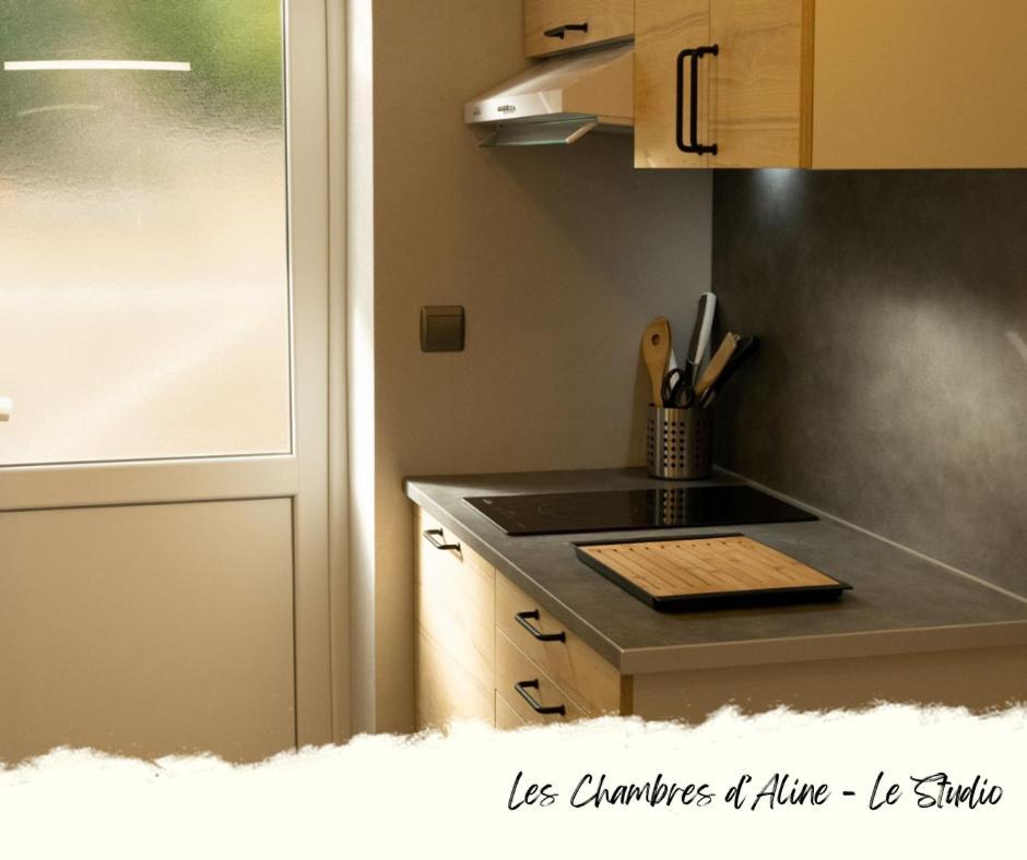 Les Chambres D'Aline Conches Номер фото