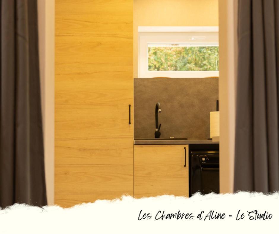 Les Chambres D'Aline Conches Номер фото